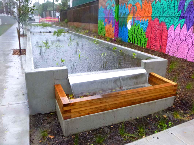 Alice Lane, Newtown Bioretention Basin