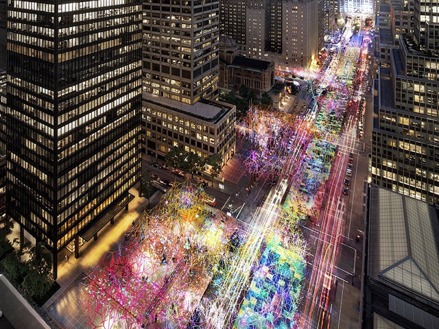 The Wilds of New York