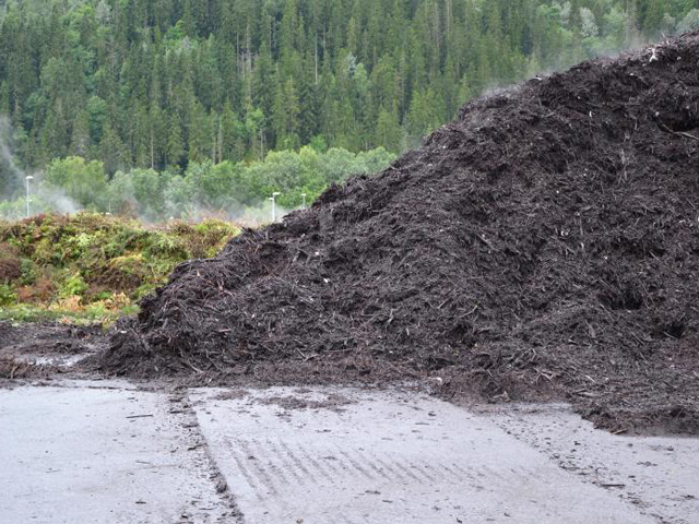 From Trash to Treasure: The Value of Compost