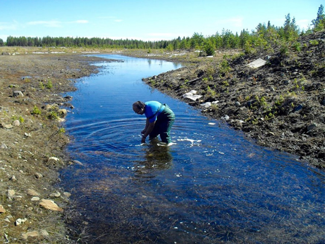 Aquatic Moss Provides the Answer to Arsenic