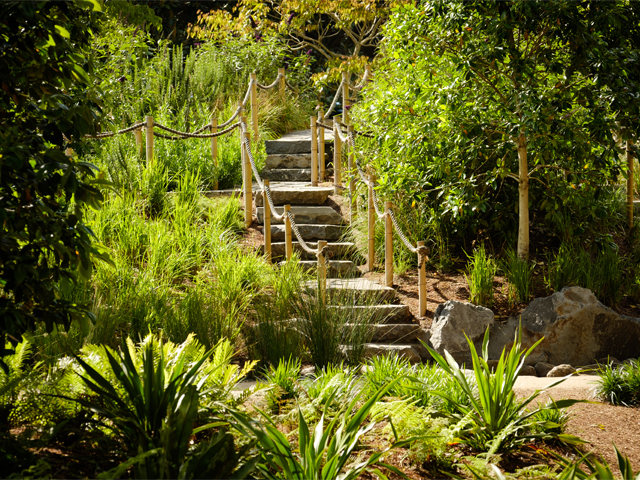 Design Landscapes Lead by Example