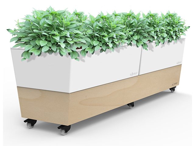 Glowpear Mobile Self-Watering Cafe Planter