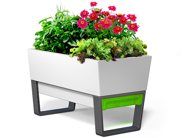Glowpear Urban Garden Self-Watering Planter