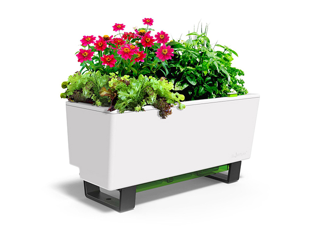 Glowpear Mini Bench Self-Watering Planter