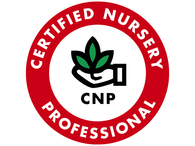 Training & Recognition