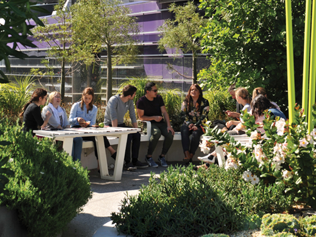 Urban Forest Fund Grows Green Cities