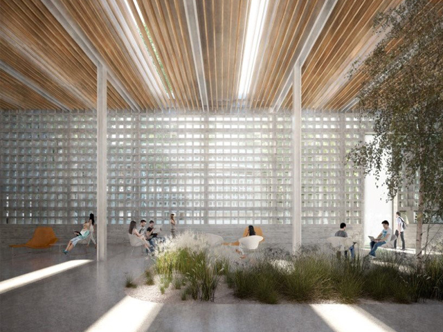 A Garden Sanctuary