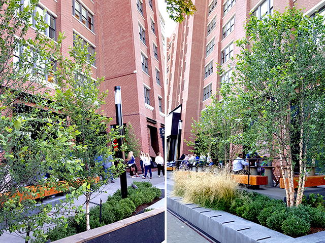 Starbucks Chooses Green