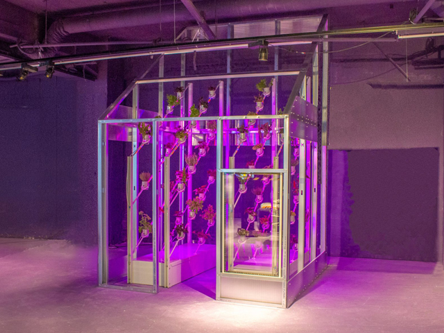 Greenhouse of the Future