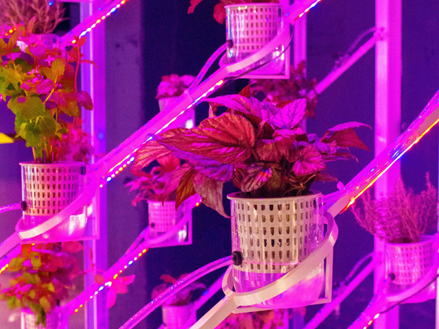 Greenhouse of the Future