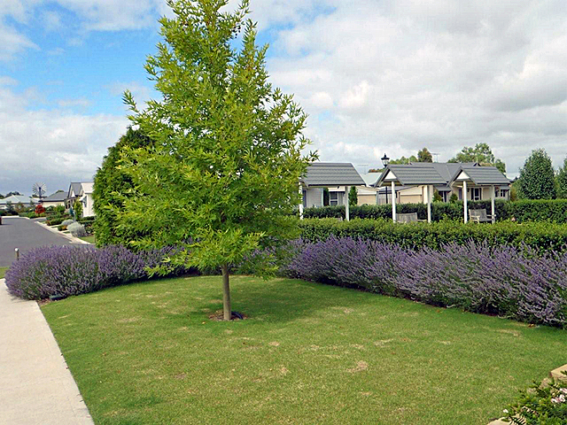 Sunshine Retirement Home