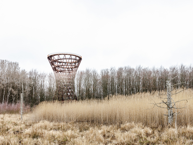 Nordic Woodland Adventures