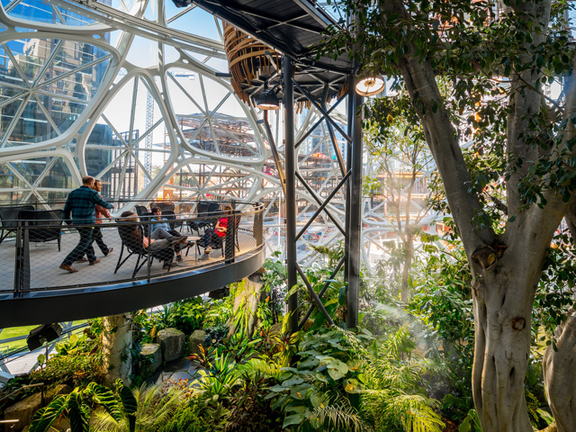 The Amazon of the Urban Jungle