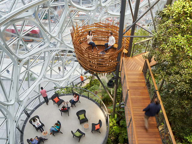 The Amazon of the Urban Jungle