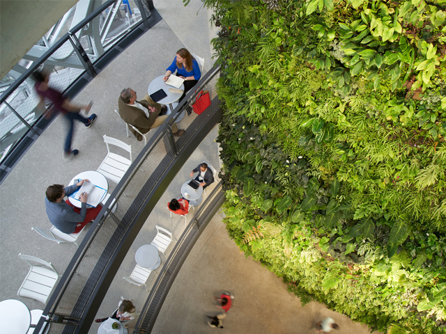 The Amazon of the Urban Jungle