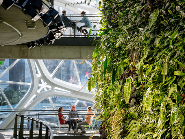 The Amazon of the Urban Jungle
