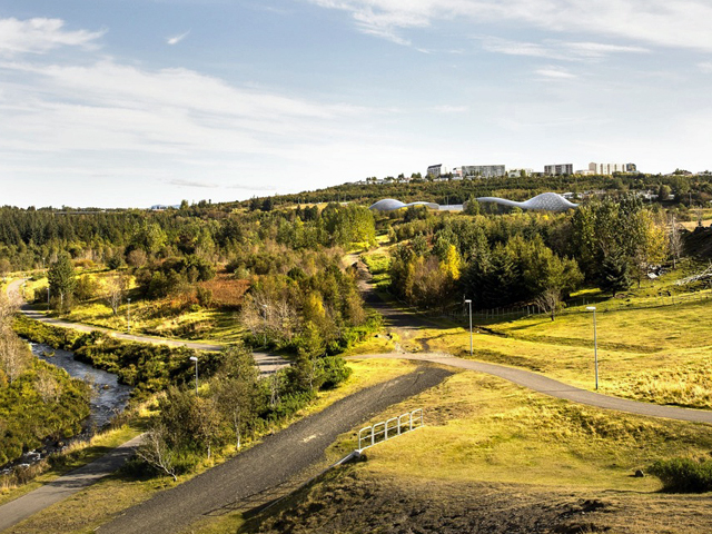 A Touch of the Tropics in Iceland
