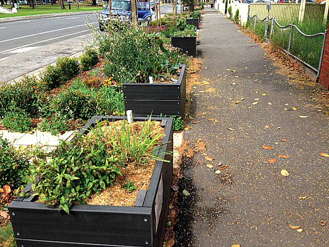 Gardens that Grow the Community