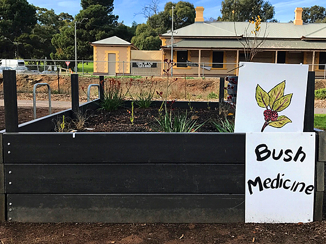 Gardens that Grow the Community