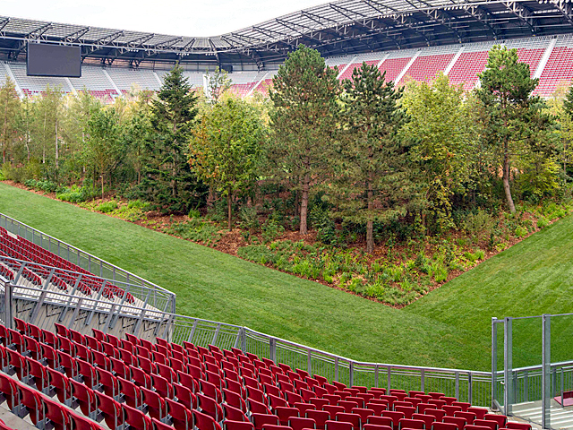 For Forest