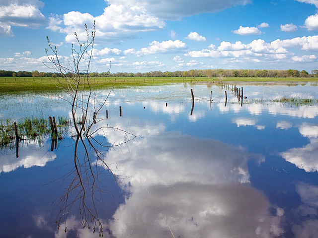 Climate Change Prompts Water-Safe Infrastructure