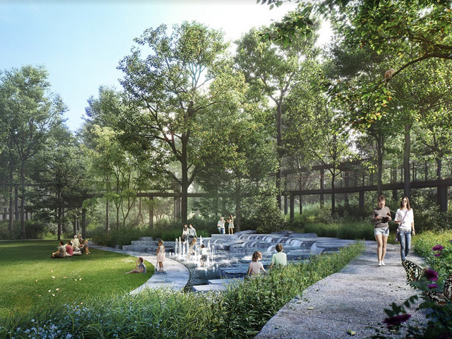 An Enchanted Community District in the Forest