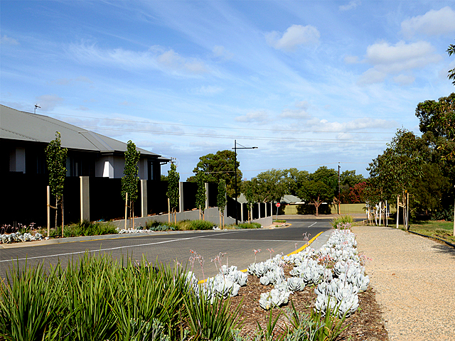 A Streetscape Challenge