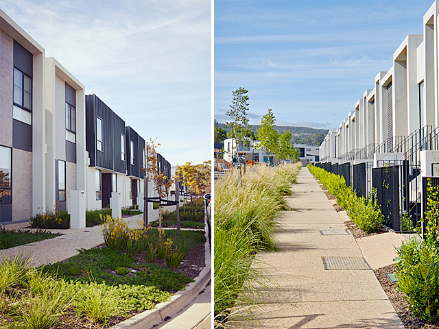 A Streetscape Challenge