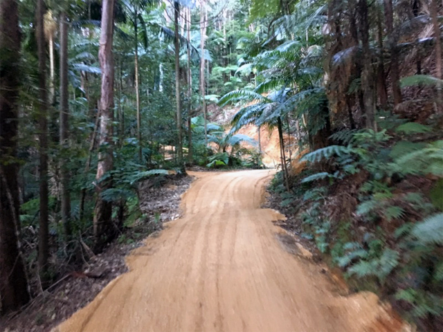 Track and Trail Construction