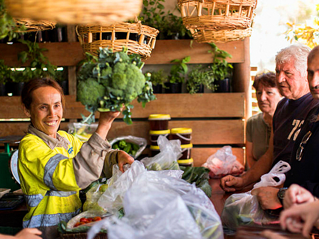 Urban Farm to Feed Sydney’s Dwindling Food Bowl