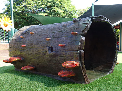 Hollow Log Climber and Tunnel