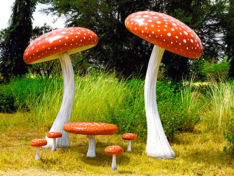 Giant Toadstools
