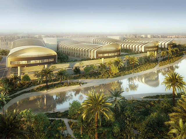 Cairo Hospital Connects Patients with Nature