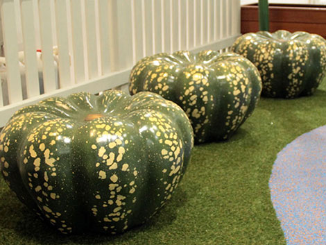 Giant Vegetables