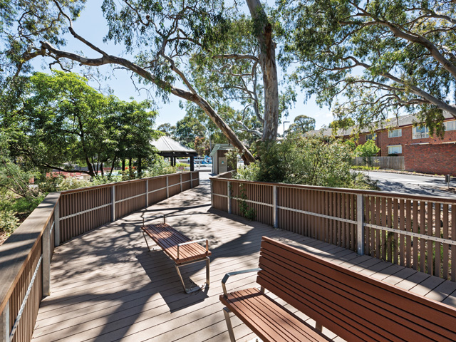 Bringing New Life to The Community