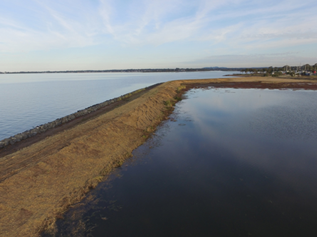 Manly Boat Harbor Spoils