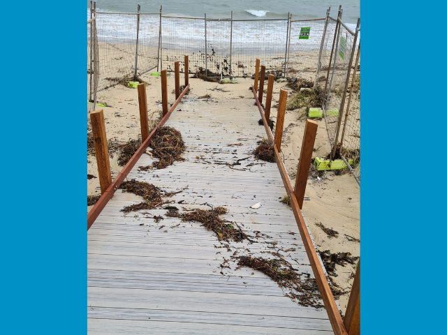 Seascape With Traxion Tahiti