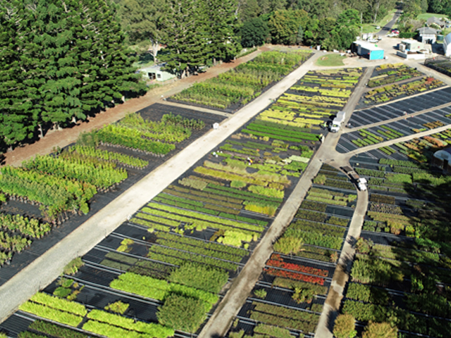 Production of High-Quality Products