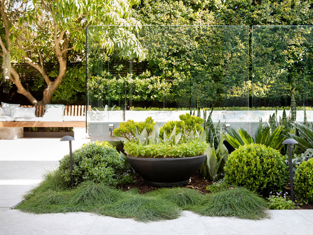 Growing Rooms Landscapes | Maroubra Residence NSW