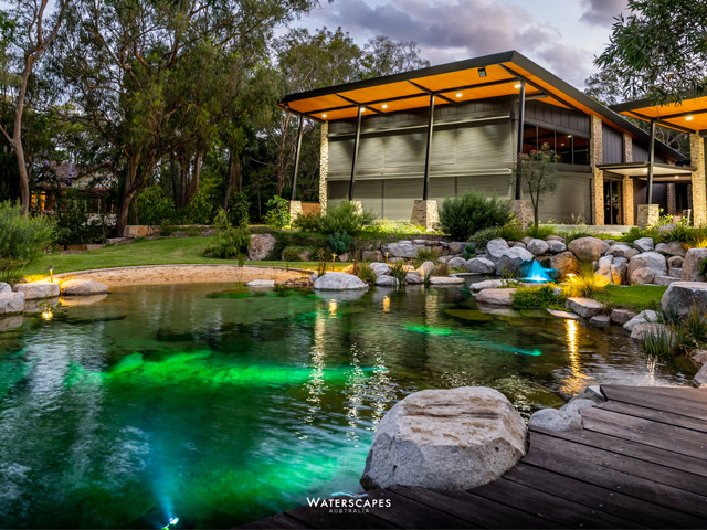 Wildlife Water Wonderland