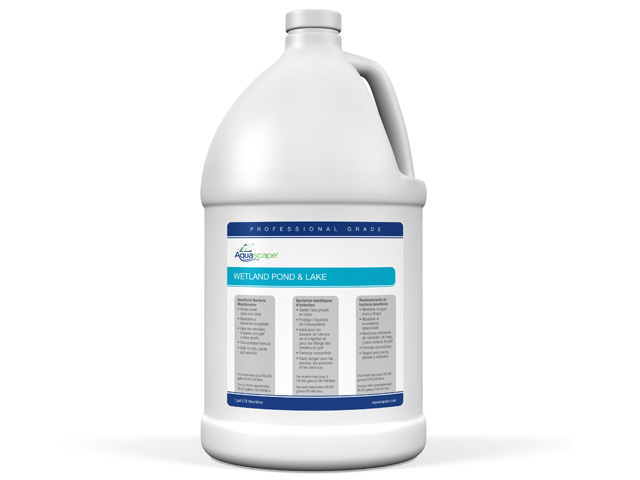 Proactively Caring for Lakes & Dams