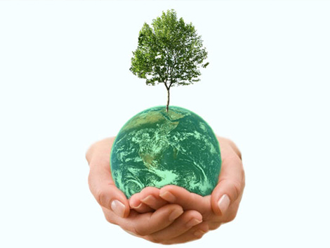 Environmentally Responsible