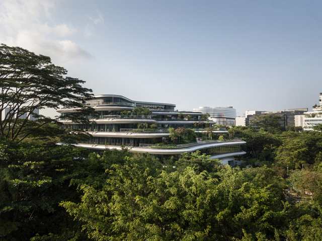 An Singaporean Office Headquarters Jungle Oasis