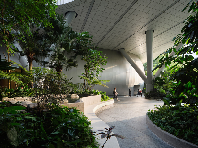 An Singaporean Office Headquarters Jungle Oasis