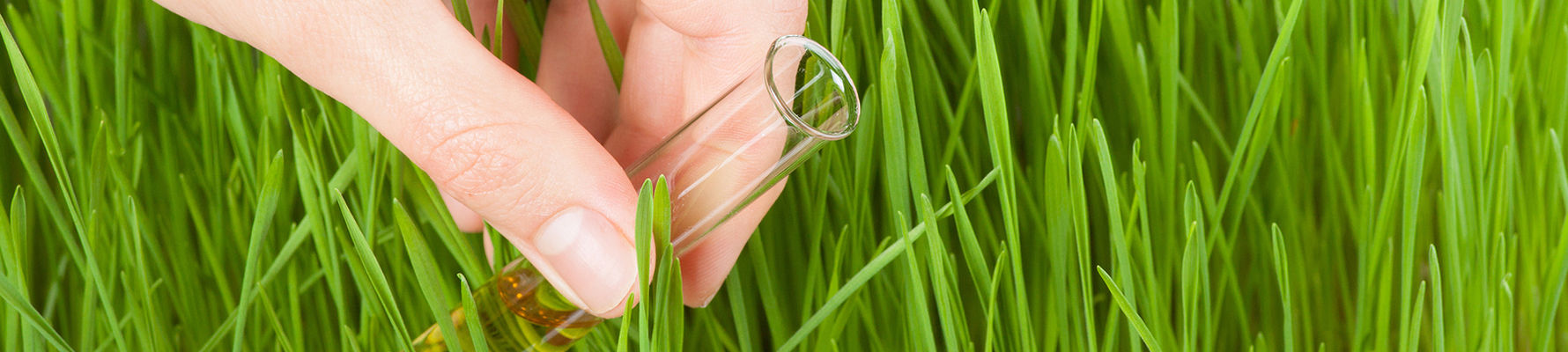 Environmental Consultants & Services