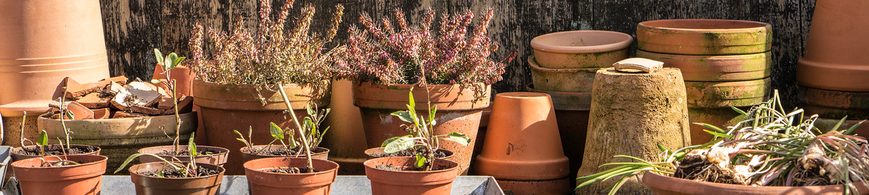Garden Accessories