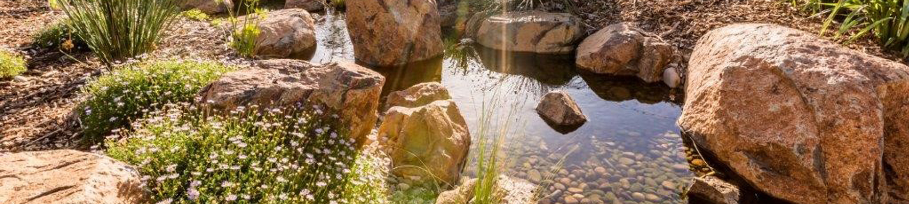 Water Features