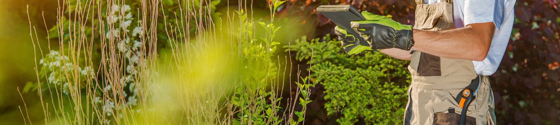 Landscape Maintenance Contractors