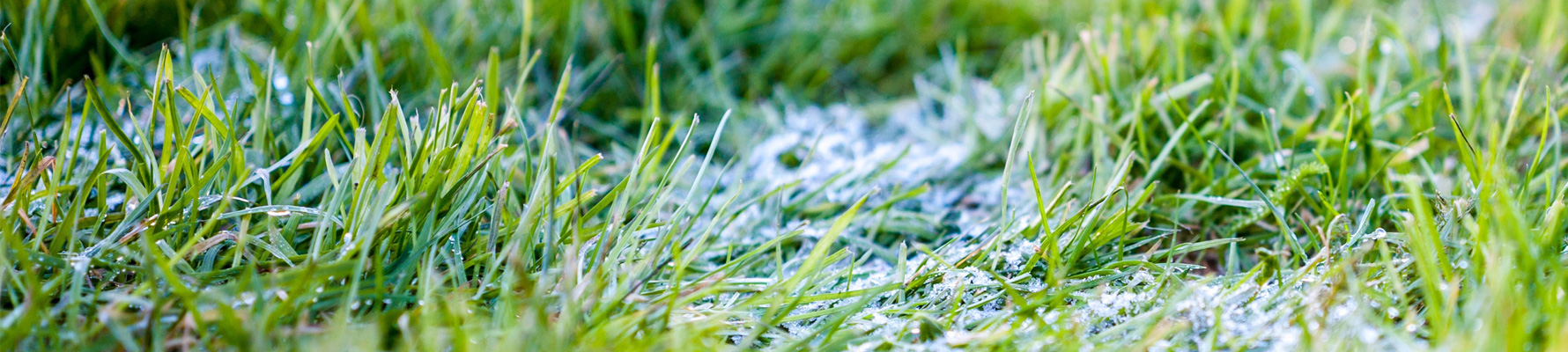Lawn & Turf Supplies