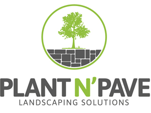 PLANT N' PAVE